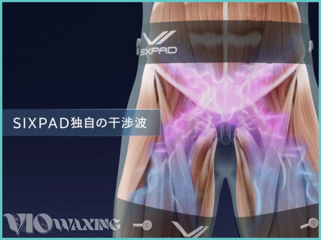 sixpad シックスパッド メディカルプロ 姿勢改善 インナーマッスル 体幹