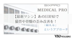 猫背 姿勢 骨盤の歪み 腰痛 肩こり EMS ダイエット 骨盤底筋 転倒防止